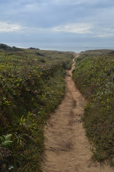 path to Otter Point vista
